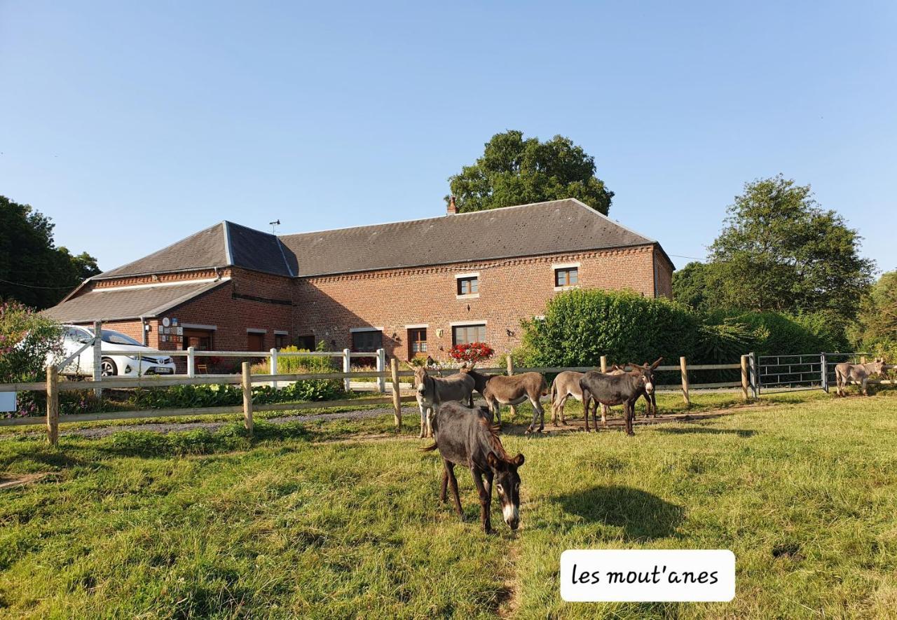 Les Mout'Anes Acomodação com café da manhã Saint-Hilaire-sur-Helpe Exterior foto