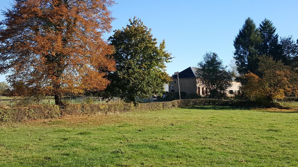 Les Mout'Anes Acomodação com café da manhã Saint-Hilaire-sur-Helpe Exterior foto